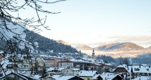 Appalti Friuli Venezia Giulia
