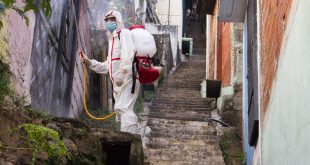 Appalti derattizzazione