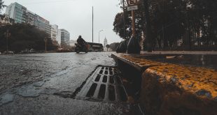 aler milano appalti