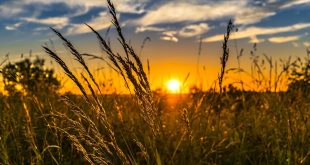 Banca delle Terre Agricole 2022