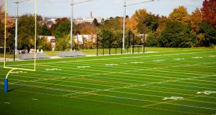bando ronciglione campo