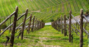 legge di bilancio 2022