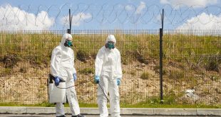 derattizzazione