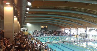 Riccione bando Stadio del Nuoto